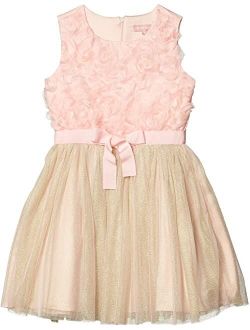 Floral Petal Bodice Dress w/ Mesh (Big Kids)