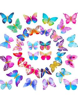 Chuangdi 32 Pieces Butterfly Clips Butterfly Glitter Barrette Hair Clips for Women Girls Hair Accessories