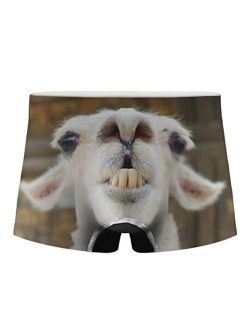 Dellukee Men's Boxer Briefs Funny Animal Print Fashion Short Underwear for Bachelorette Party