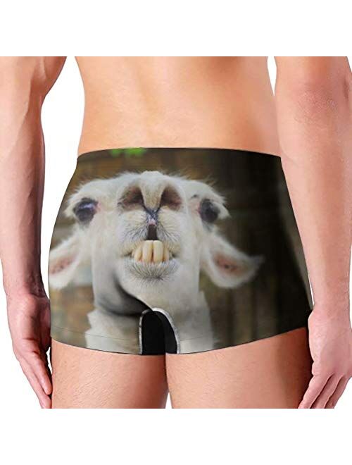 Dellukee Men's Boxer Briefs Funny Animal Print Fashion Short Underwear for Bachelorette Party
