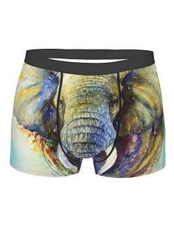 Antkondnm Elephant Art Funny Boxer Briefs Print Underwear for Men Custom