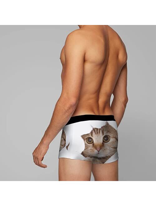 OcuteO Mens Boxer Briefs Funny Animal Cat Chic Kitten In White Paper Hole Brief Underwear Novelty Youth Boys Trunks
