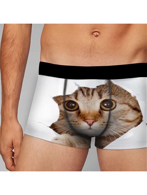 OcuteO Mens Boxer Briefs Funny Animal Cat Chic Kitten In White Paper Hole Brief Underwear Novelty Youth Boys Trunks