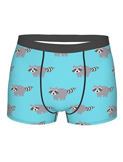 Raccoons in A Cartoon Style Funny Boxer Briefs Print Underwear for Men Custom