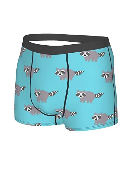 Raccoons in A Cartoon Style Funny Boxer Briefs Print Underwear for Men Custom