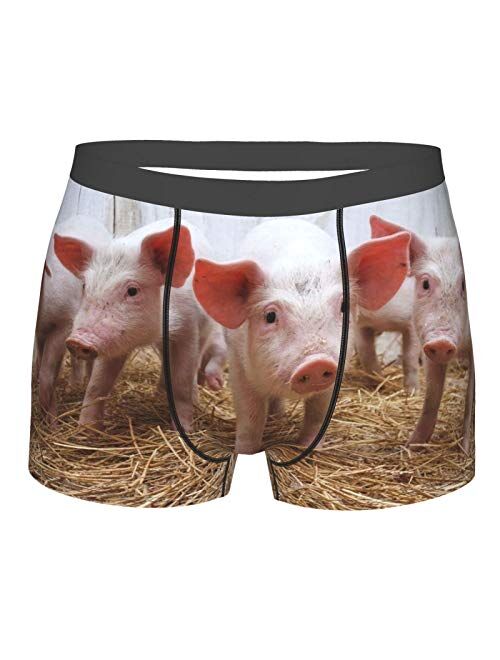 Antkondnm Pig Funny Boxer Briefs Print Underwear for Men Custom