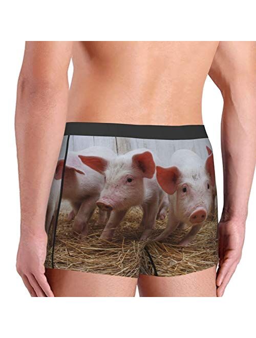 Antkondnm Pig Funny Boxer Briefs Print Underwear for Men Custom