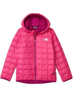 Thermoball Eco Hoodie (Toddler)