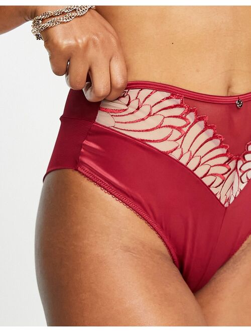 Scantilly by Curvy Kate Fallen Angel sheer embroidered high waist knicker in red