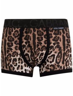 leopard-print boxer trunks
