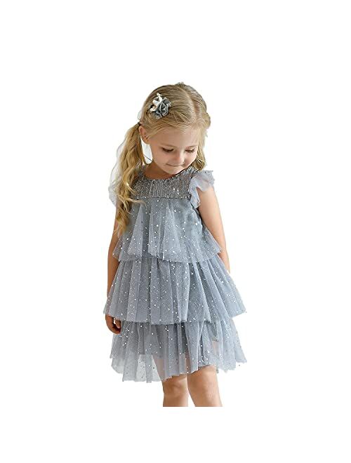 TTYAOVO Girls Embroidered Lace Sleeveless Tulle Flower Princess Party Dresses Back Bow