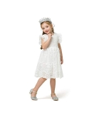 TTYAOVO Little Girls Lace Embroidered Holiday Casual Dress