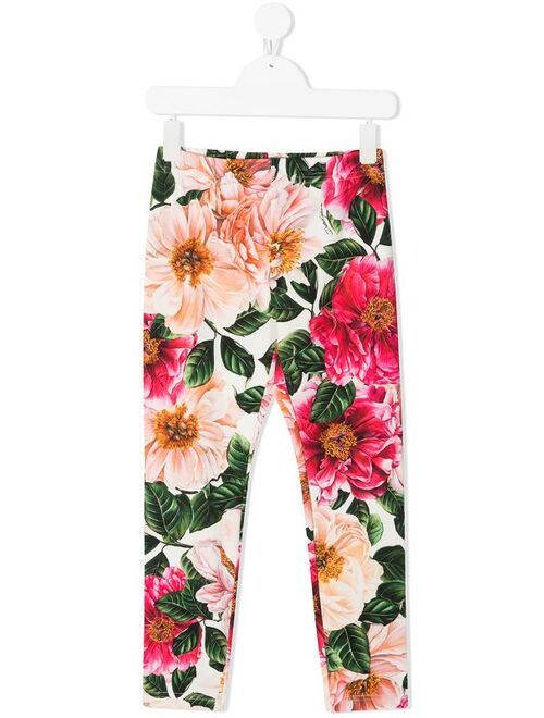 Dolce & Gabbana floral-print cotton leggings