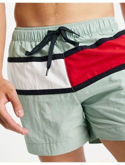 swimshorts in mint green with large flag logo