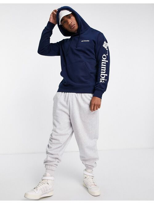 Columbia Viewmount II Graphic hoodie in navy