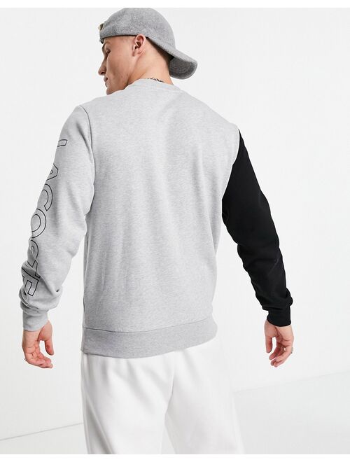 Lacoste vertical panel arm logo sweat in gray