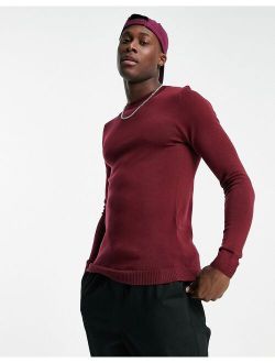muscle fit merino wool crew neck sweater in burgundy