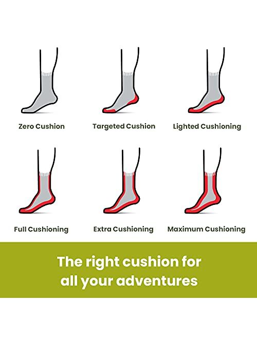 Smartwool Performance Hike Light Cushion Low Ankle Sock - Women's