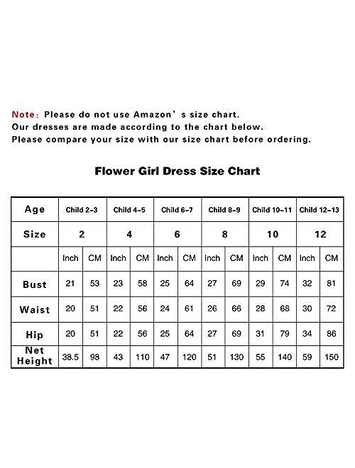 Abaowedding Lace Long Sleeves Princess Tulle Ball Gown Pageant Flower Girl Dress First Communion Dresses