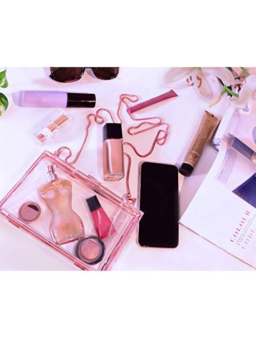 Stevens Parra Rose Gold Clear Clutch Box Purse - For Women & Teens - This Acrylic Transparent Crossbody Handbag Comes With A Gift Box. For Evening Events. Small