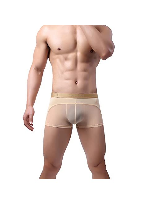 Mixxii 4 Pack of Men Underwear See Through Undies Sexy Boxer Briefs Mesh Underpants Transparent Pants Breathable Trunks for Man