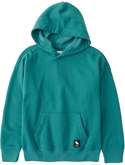 Easy Fit Logo Pop Over Hoodie (Little Kids/Big Kids)