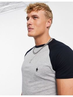 raglan t-shirt in light gray & navy