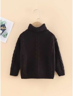 Toddler Boys High Neck Cable Knit Sweater
