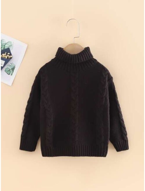 Shein Toddler Boys High Neck Cable Knit Sweater