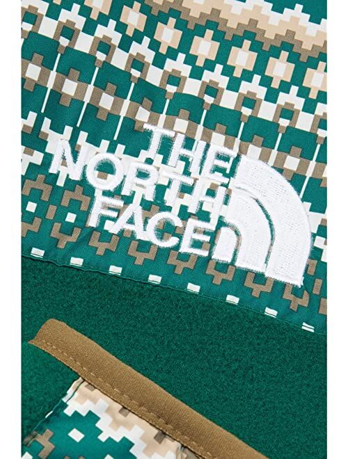 The North Face Printed '95 Retro Denali Jacket (Little Kids/Big Kids)