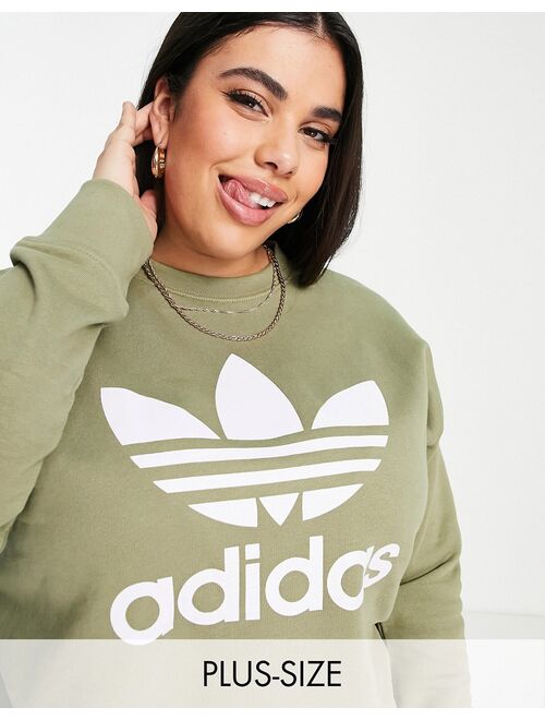 Adidas Originals Originals Plus adicolor large logo sweatshirt in khaki