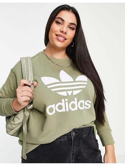 Adidas Originals Originals Plus adicolor large logo sweatshirt in khaki