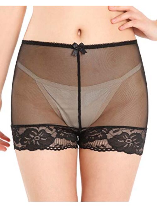 Satini Women's Nylon Sheer French Knickers Briefs Panties