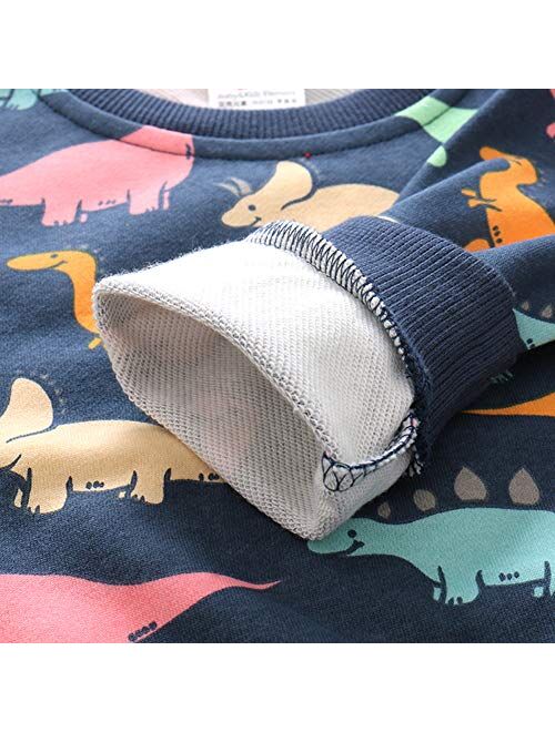 Julerwoo Girls Cotton Sweatshirts Hoodie Dinosaur Printed Crewneck Tops