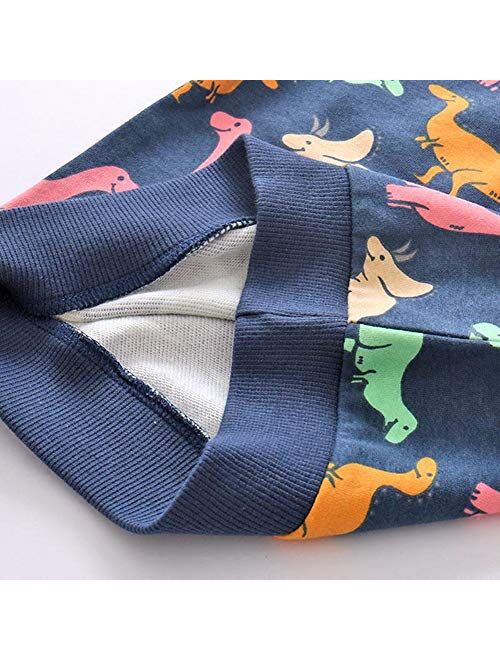 Julerwoo Girls Cotton Sweatshirts Hoodie Dinosaur Printed Crewneck Tops