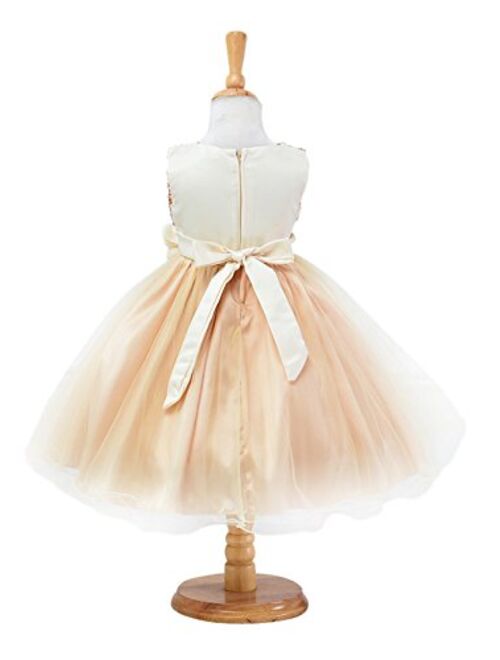 YMING Girls Flower Princess Tutu Party Dress Wedding Pageant Ball Gown