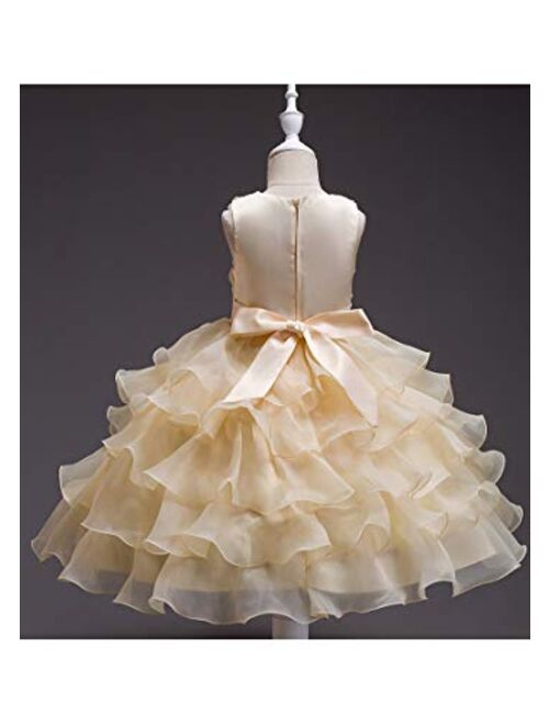 YMING Girl Ball Gown Sleeveless Ruffle Lace Pageant Wedding Party Dresses Tulle Tiered Princess Tutu Gowns