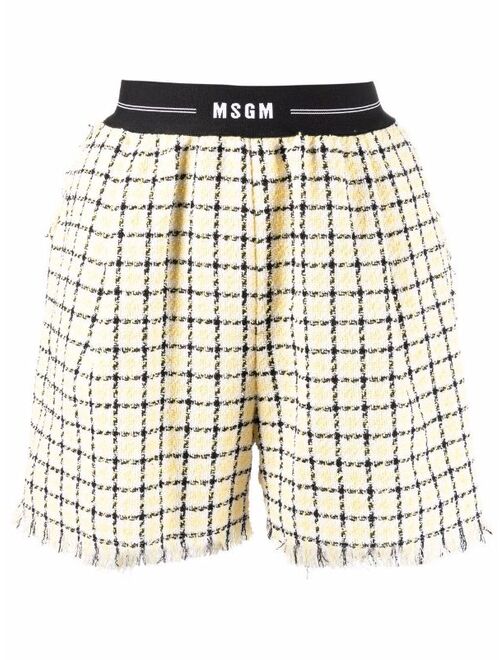 MSGM logo check shorts