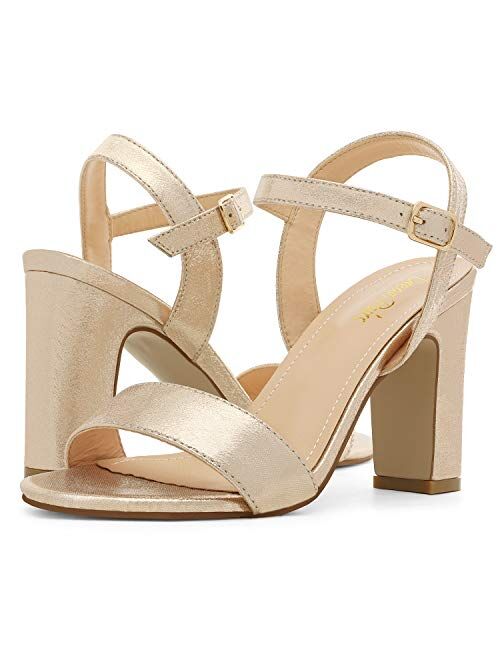 DREAM PAIRS Women's Open Toe Ankle Strap High Chunky Heel Sandals