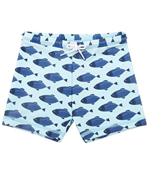 Dilon Toddler/Baby Boys Swimwear Set Short Sleeve 2-Piece Rash Guard & Trunks Infant Swimsuit Bathing Suits Swimsuit UPF 50+