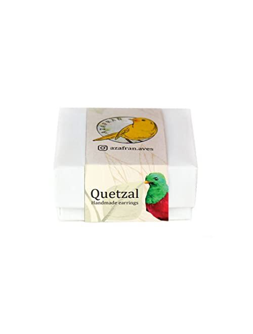 GenéRico Long tailed Quetzal handmade birds big earrings for women