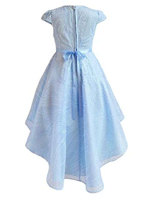 Rare Editions Girls 7-16 Blue Embroidered Sequins Mesh Jewel Waist Dress