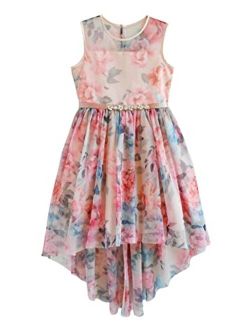 Rare Editions Girls Size 7-16 Pink Teal Floral Print Mesh High-Low Jewel Dress