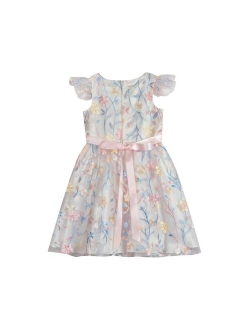 Rare Editions Little and Toddler Girls Floral Embroidered Mesh Flutter Sleeves Dress