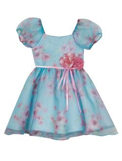 Rare Editions Toddler and Little Girls Printed Organza Dress