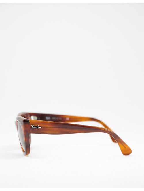 Ray-Ban 0RB4178 oversized sunglasses in brown