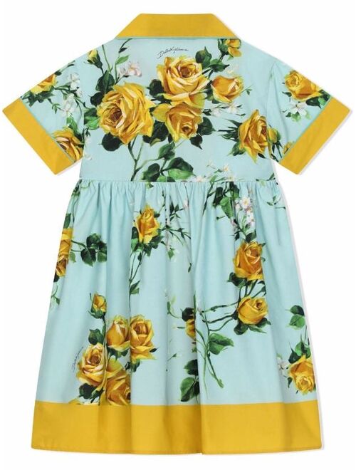 Dolce & Gabbana Kids rose-print cotton shirt dress