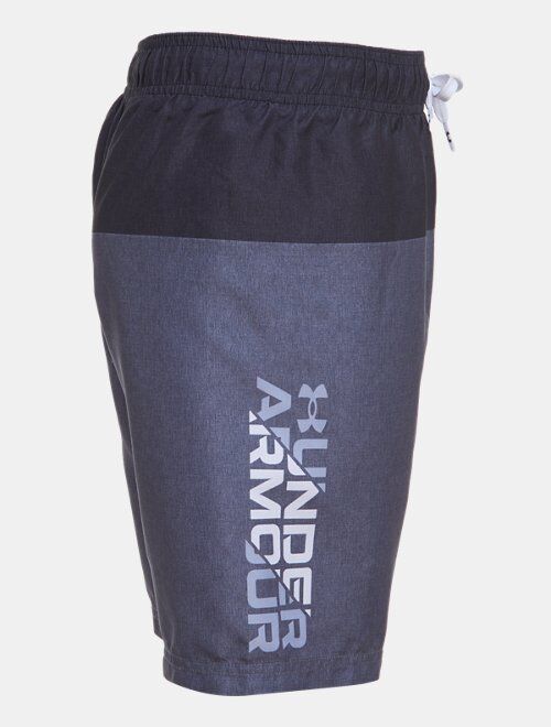 Under Armour Boys' UA Colorblock Volley Shorts