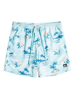 Men's Everyday Scenic Volley 17NB Shorts