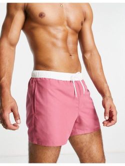 swim shorts in pink with white tipping short length